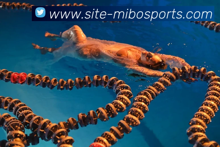 球赛投注平台生态图