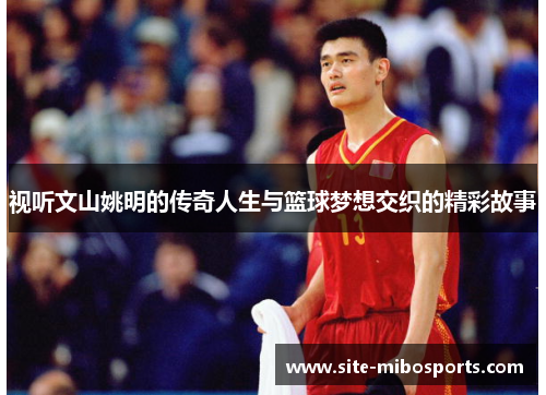 视听文山姚明的传奇人生与篮球梦想交织的精彩故事